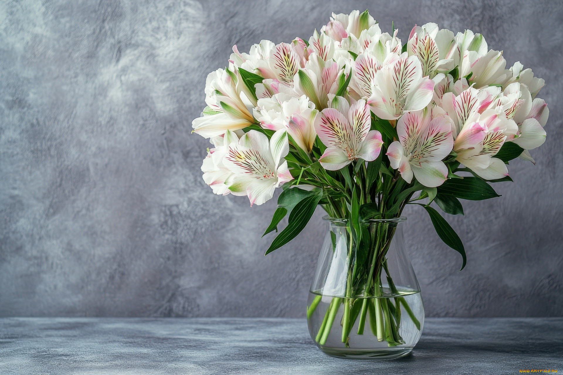 3 ,  , flowers, 